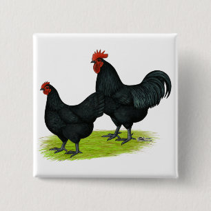 Australorp Black Chickens 15 Cm Square Badge