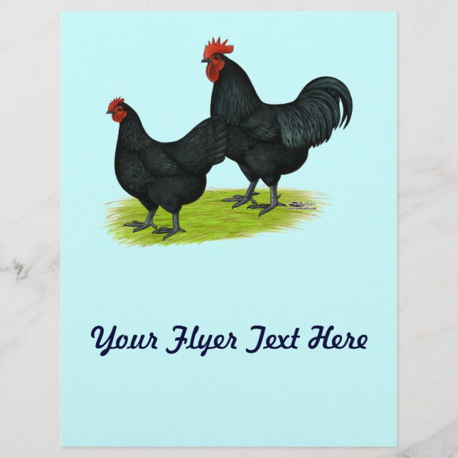 Australorp Black Chickens Flyer (Front)