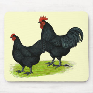 Australorp Black Chickens Mouse Pad