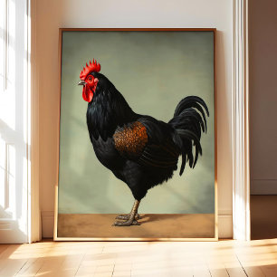 Australorp Chicken Art Print Poster, Vintage Bird 