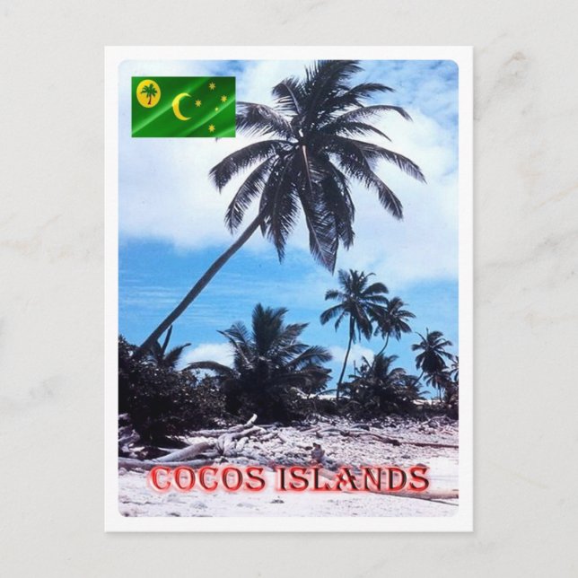 Austraslia - Cocos (Keeling) Islands - Palms - Postcard (Front)