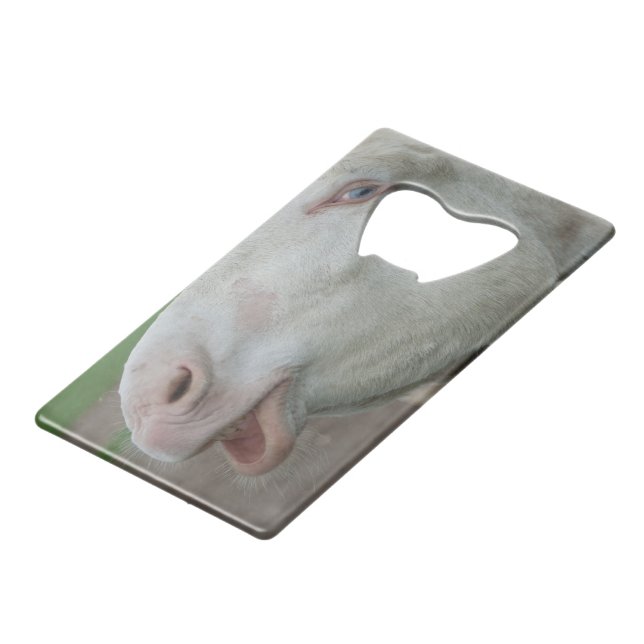 Austria-Hungarian White Donkey (Back Angled)