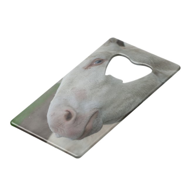 Austria-Hungarian White Donkey (Back Angled)