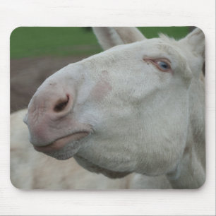 Austria-Hungarian White Donkey Mouse Pad