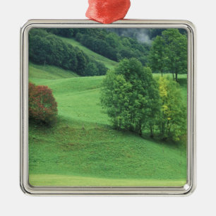 Austria. Rolling green hillside and trees Metal Ornament
