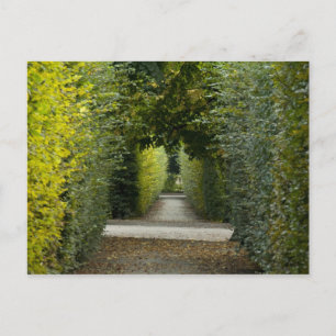 Austria, Vienna. Maria Theresa's baroque 2 Postcard