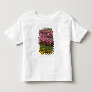Austria, Vienna. Maria Theresa's baroque Toddler T-Shirt