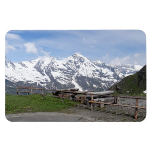 Austrian Alps custom magnet