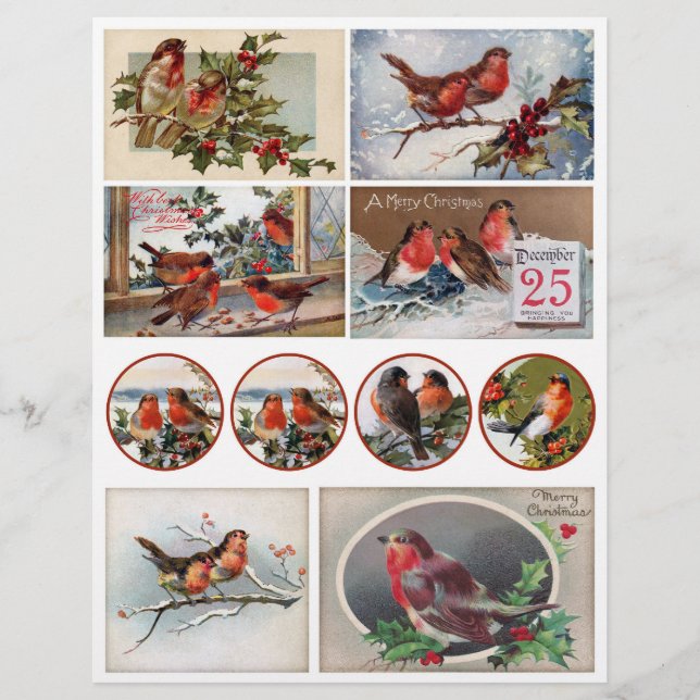 Authentic Victorian Era Postcards with Robins (Front)
