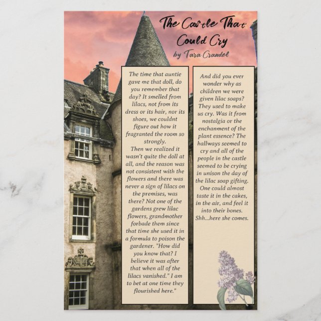 Author Promotional Bite Size Story Followers Flyer (Front)