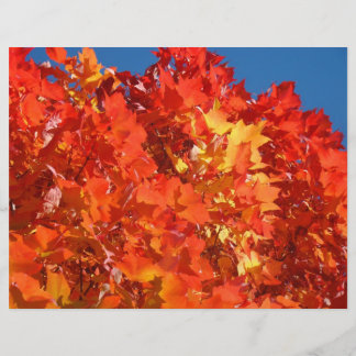 Autmmn Leaves Scrapbook paper Scrapbooking Orange