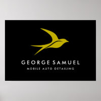 Auto Detailing | Car Repair Shop Flying Bird Logo