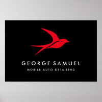 Auto Detailing | Car Repair Shop Flying Bird Logo