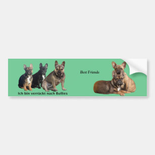 Autoaufkleber französische Bulldoggen  Bumper Sticker