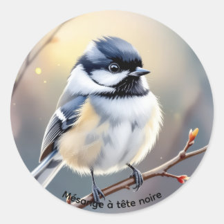 Autocollant Mésange à Tête Noire – Étang Burbank, Classic Round Sticker
