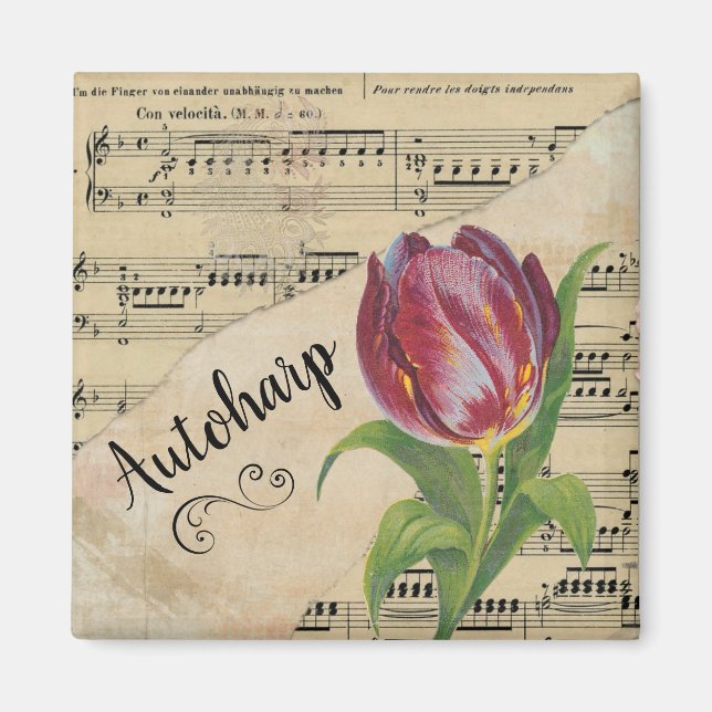 Autoharp Elegant Tulip Vintage Sheet Music Magnet (Front)
