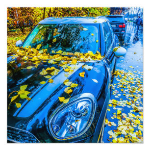 Automobile, Car - Season Of Fallen Leaves Photo Print