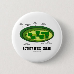 Autotrophic Dream (Biology Humour Food For 6 Cm Round Badge