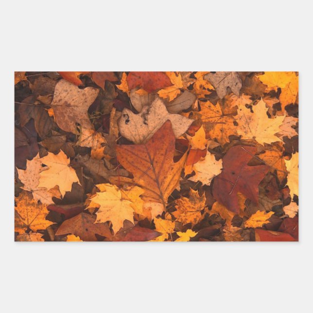 Autum Leaves Rectangular Sticker (Front)