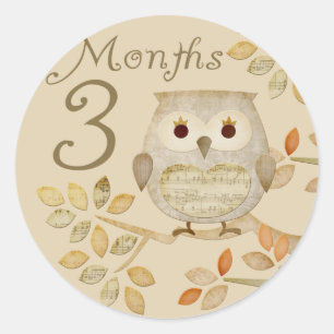 Autum Owl 3 Months Sticker