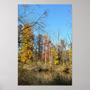 Autum Reflections on Creek Poster