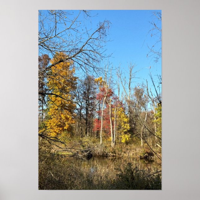 Autum Reflections on Creek Poster (Front)