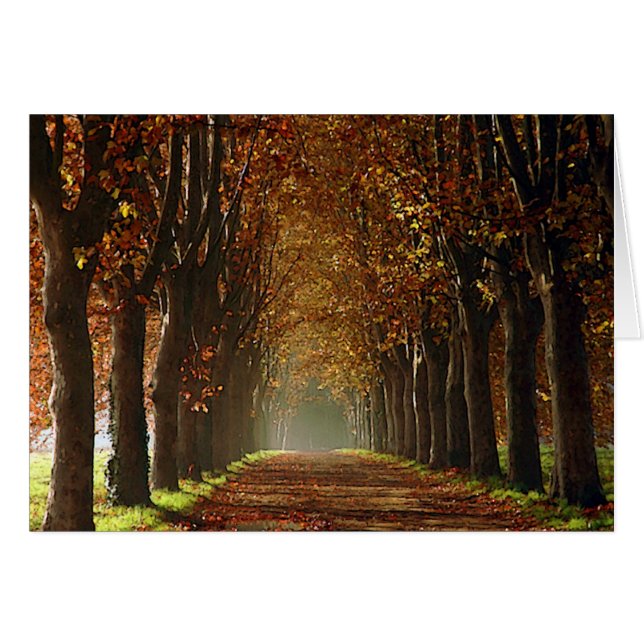 autumn (Front Horizontal)