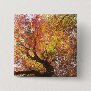 Autumn 15 Cm Square Badge