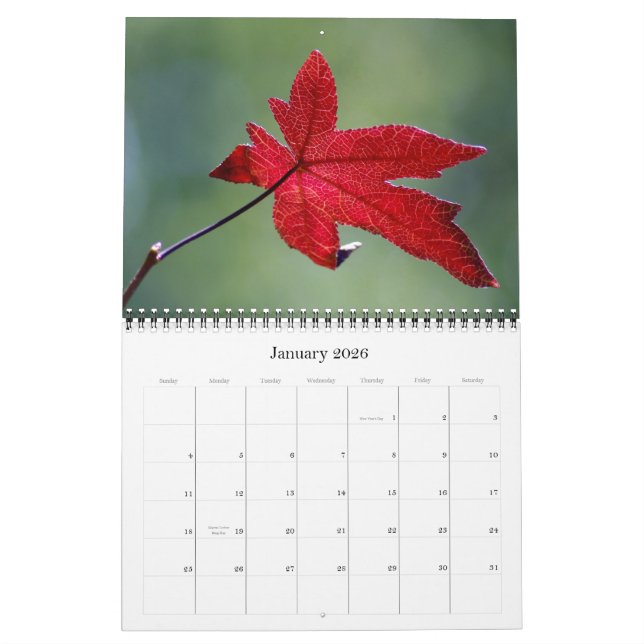 Autumn 2011 calendar (Jan 2026)