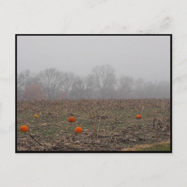 ~ Autumn ~ 21 Postcard (Front)