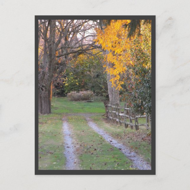 ~ Autumn ~ 30 Postcard (Front)
