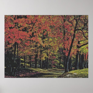 Autumn 30 poster