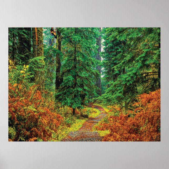 Autumn 31 cmyk poster (Front)