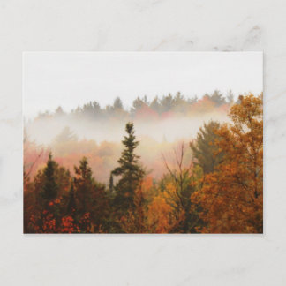 Autumn Adirondacks Trees Scene Landscape Postcard