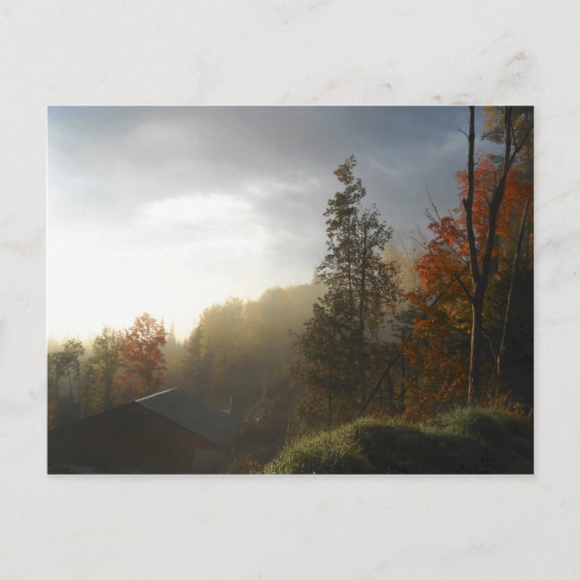Autumn Adirondacks Trees Scene Landscape Postcard (Front)