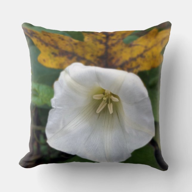 autumn after summer cushion (Front)