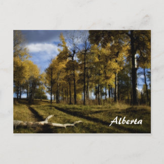 autumn afternoon, Alberta Postcard