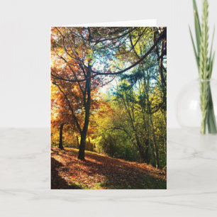 Autumn Afternoon Card