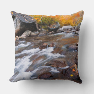 Autumn along Bishop Creek, CA Cushion