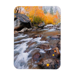 Autumn along Bishop Creek, CA Magnet
