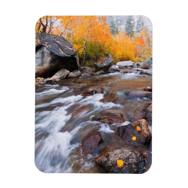 Autumn along Bishop Creek, CA Magnet (Vertical)