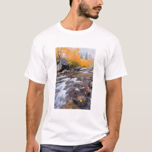 Autumn along Bishop Creek, CA T-Shirt