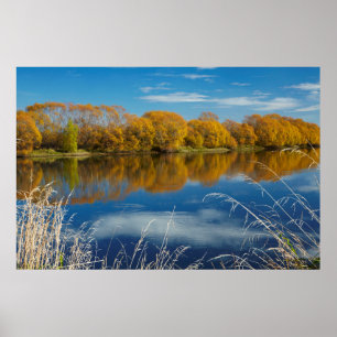 Autumn Along the Clutha River Poster