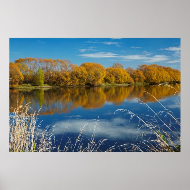 Autumn Along the Clutha River Poster (Front)
