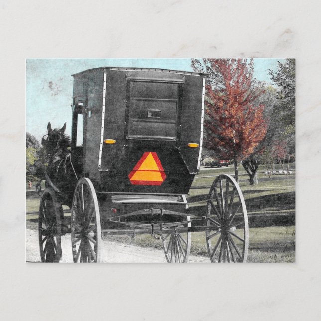 Autumn Amish Buggy Postcard (Front)