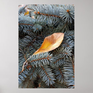 autumn and winter poster