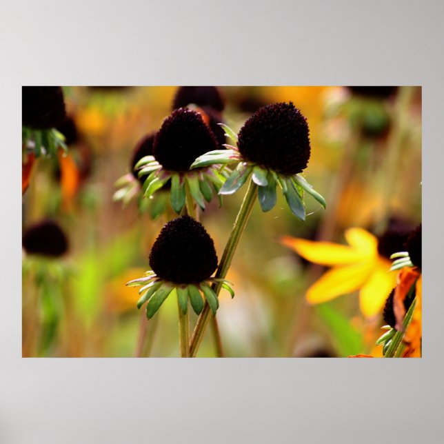 Autumn Approachs Poster (Front)