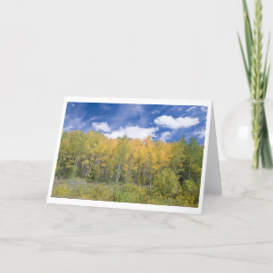 Autumn Aspen Glory Note card