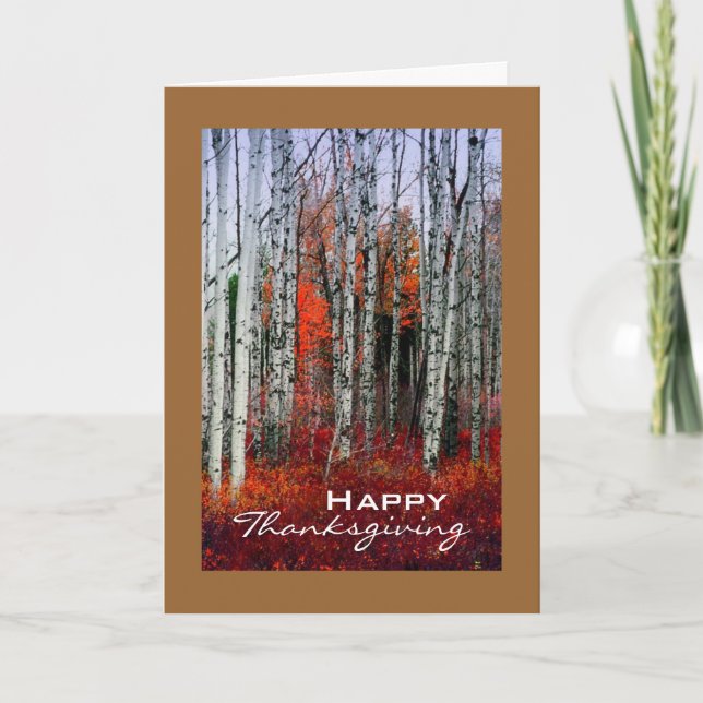 Autumn Aspen Grove, Thanksgiving Holiday Card (Front)