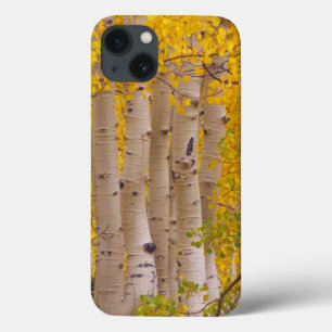 Autumn aspens in Kebler Pass in Colorado iPhone 13 Case
